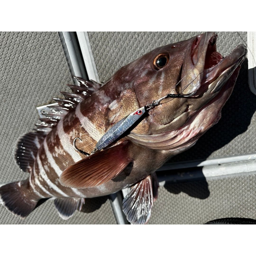 TGイエヤス　150g