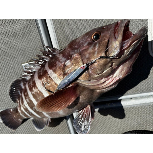 TGイエヤス　180g