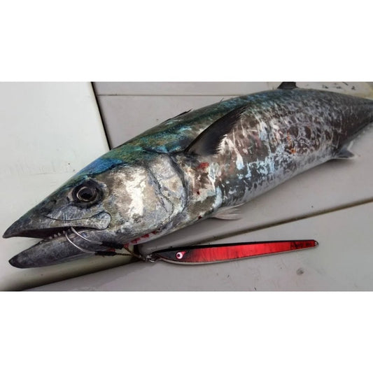TGノブナガネオ　60g