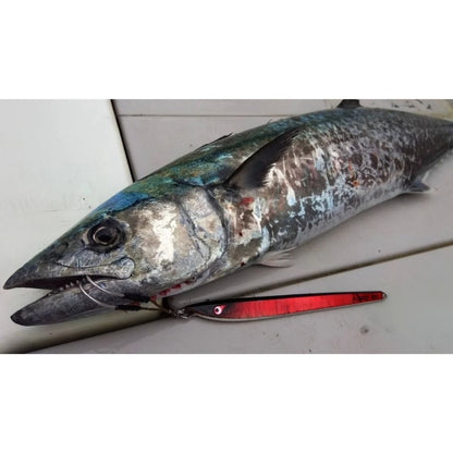 TGノブナガネオ　40g