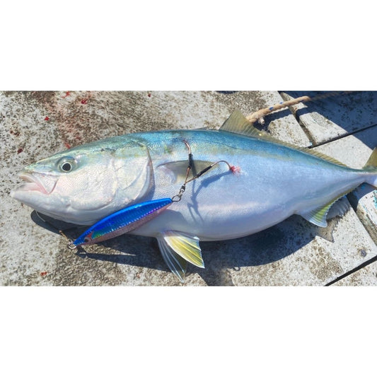 ユキムラ　180g