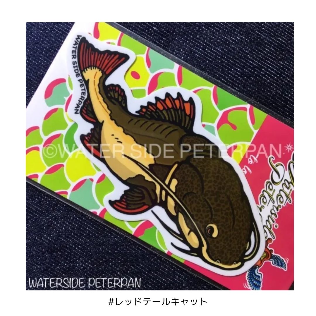 お魚ステッカー レギュラー