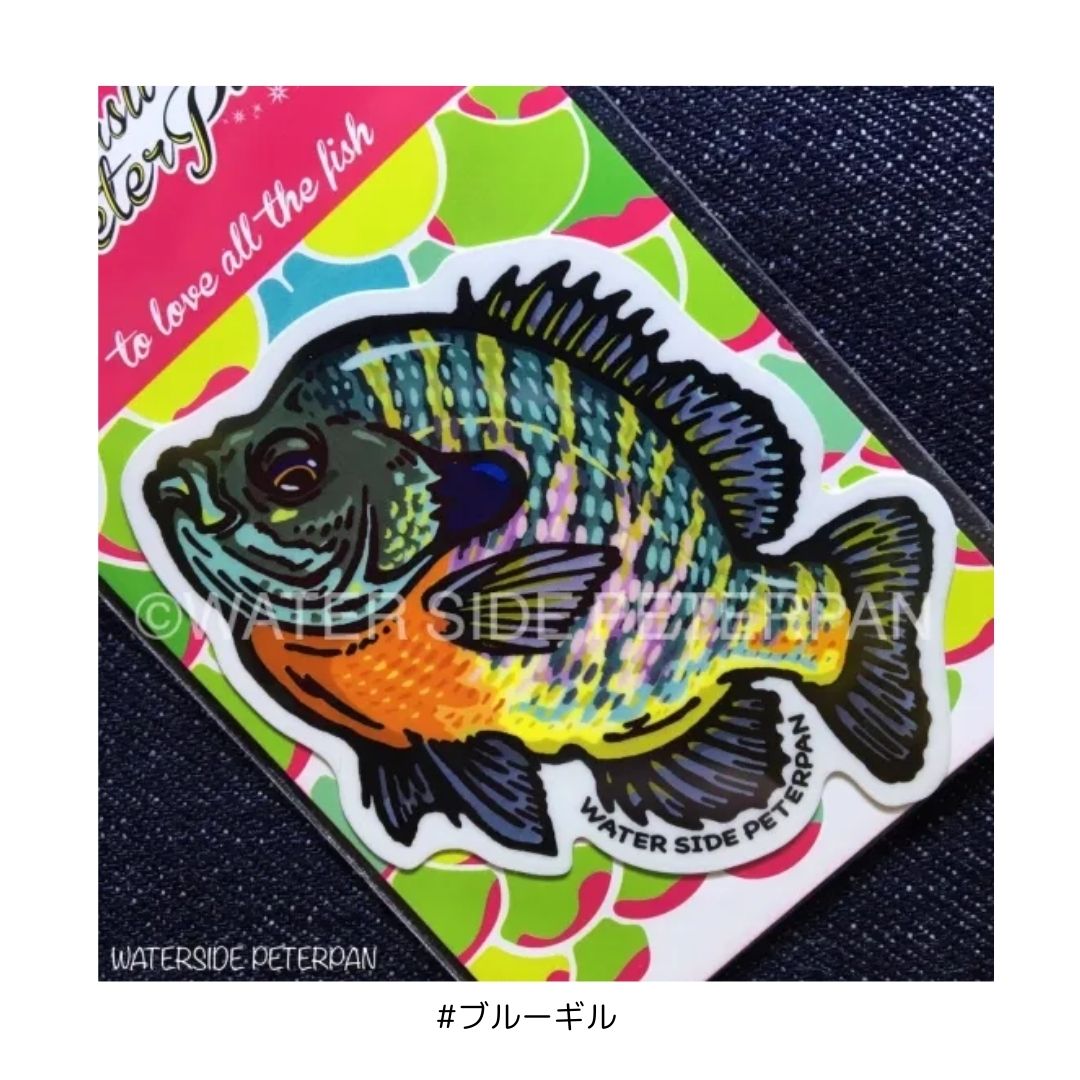 お魚ステッカー レギュラー