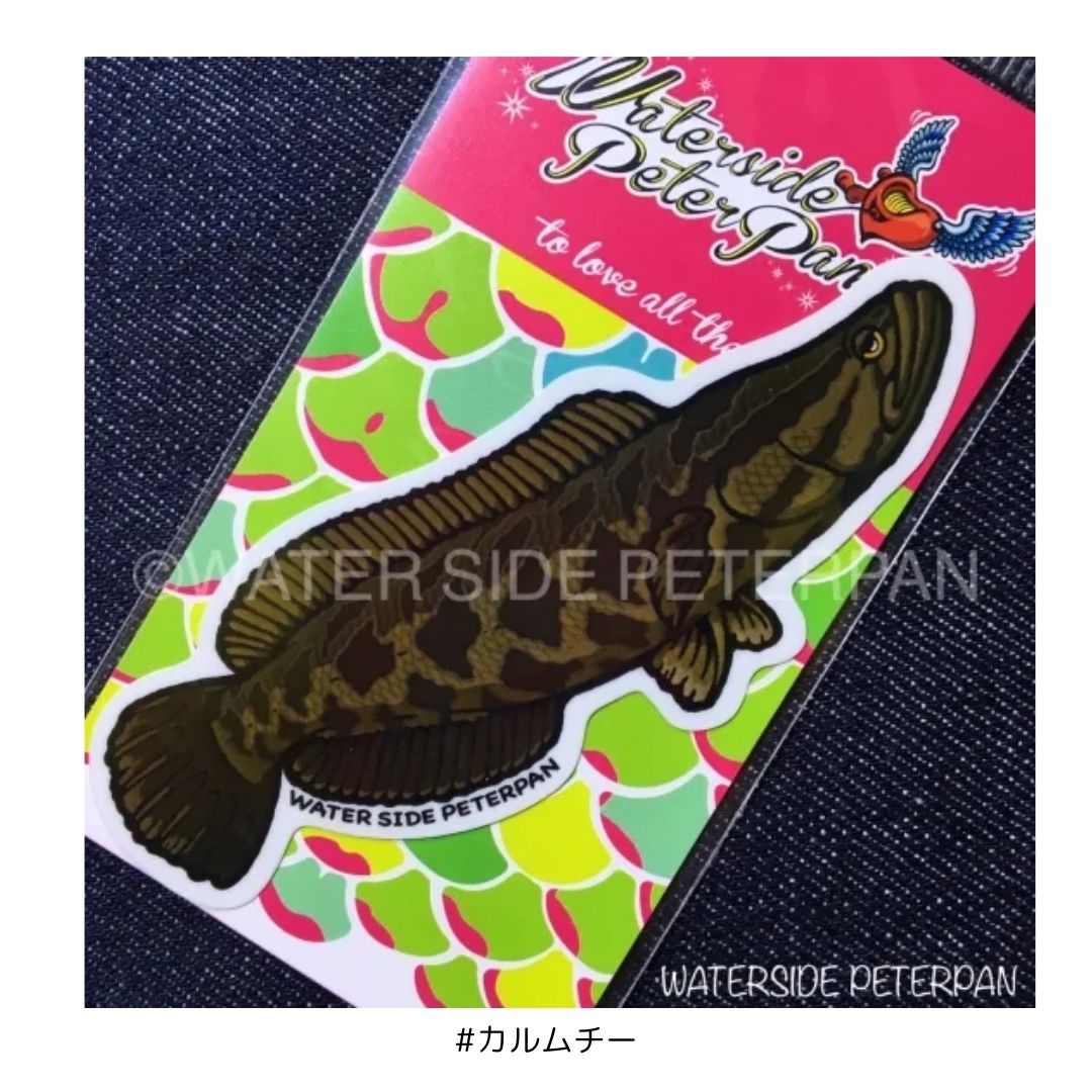 お魚ステッカー レギュラー