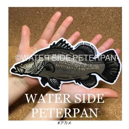 Bigお魚 ステッカー