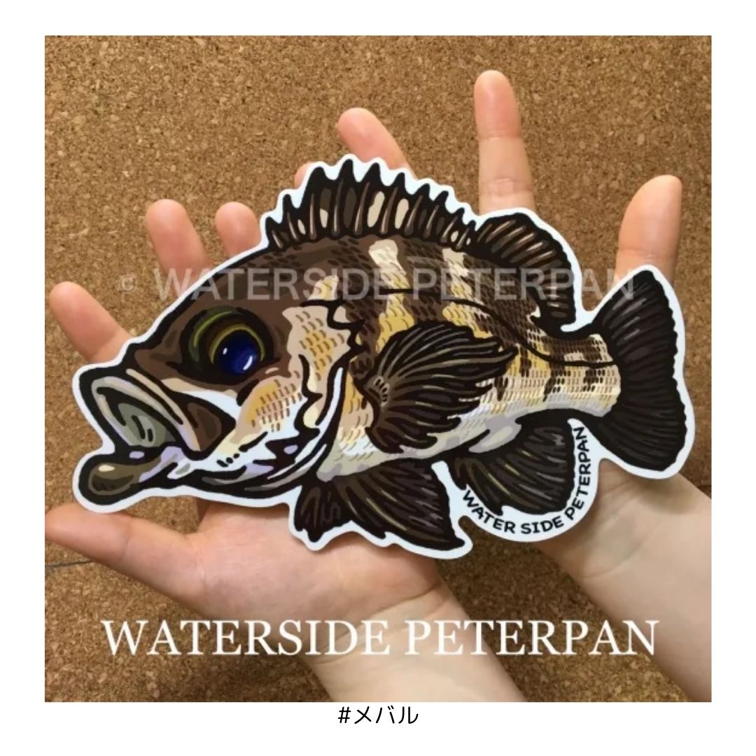 Bigお魚 ステッカー