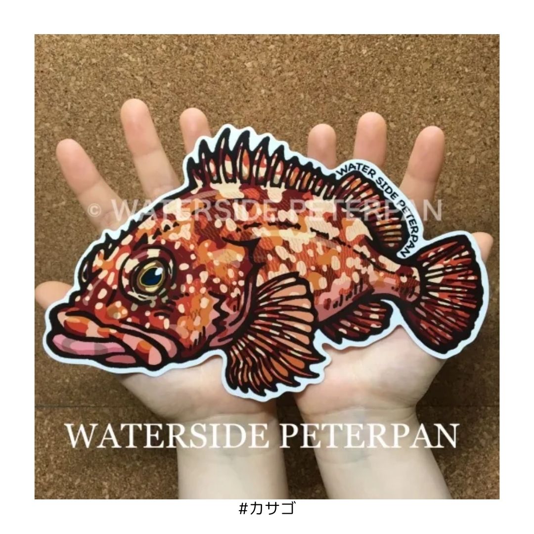 Bigお魚 ステッカー