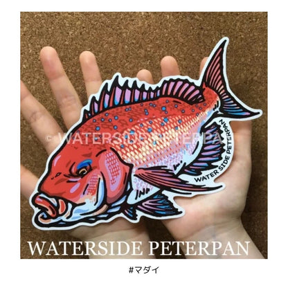 Bigお魚 ステッカー