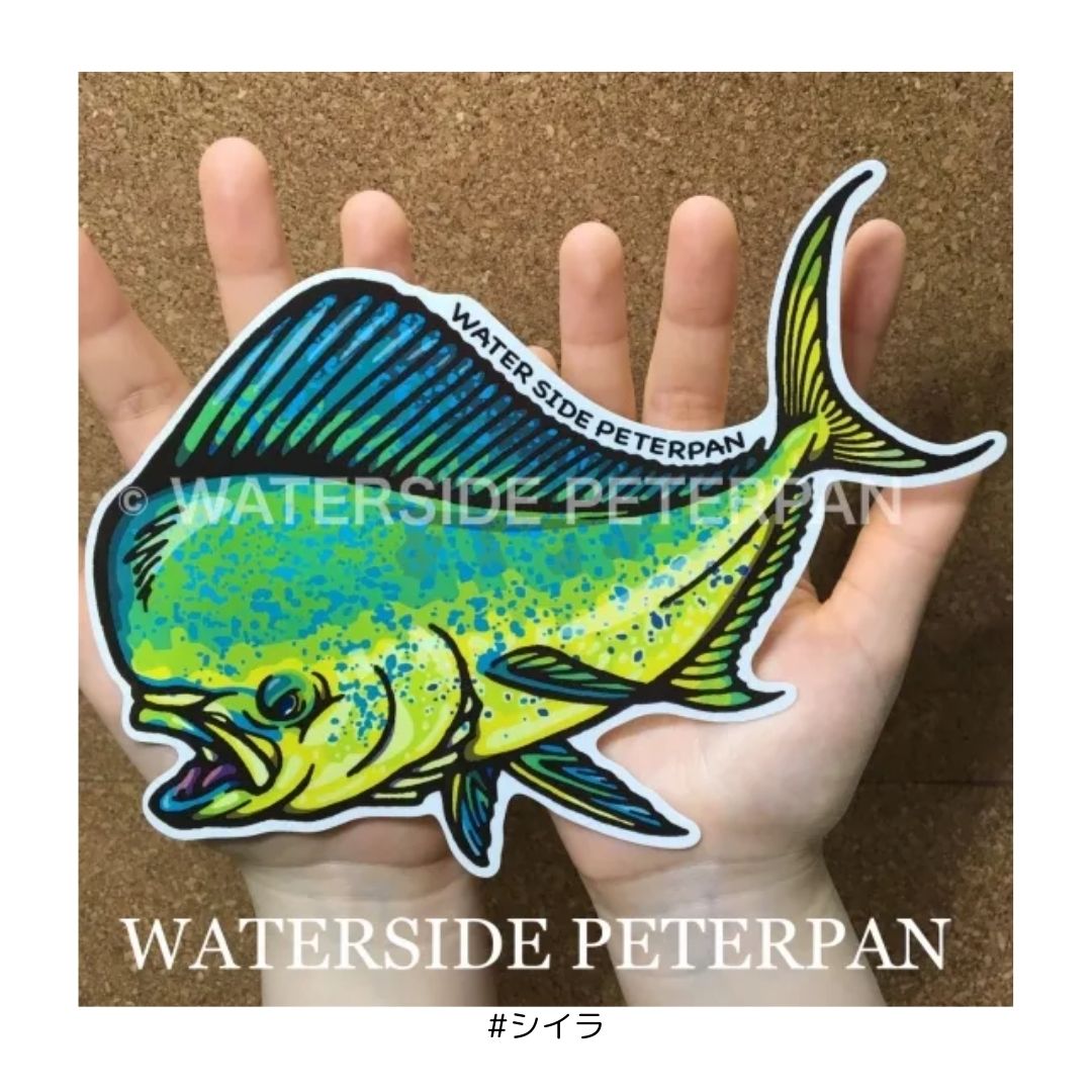 Bigお魚 ステッカー – フィッシングマックス WEBSHOP