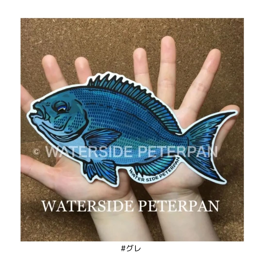 Bigお魚 ステッカー