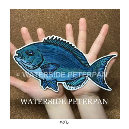 Bigお魚 ステッカー