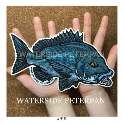 Bigお魚 ステッカー