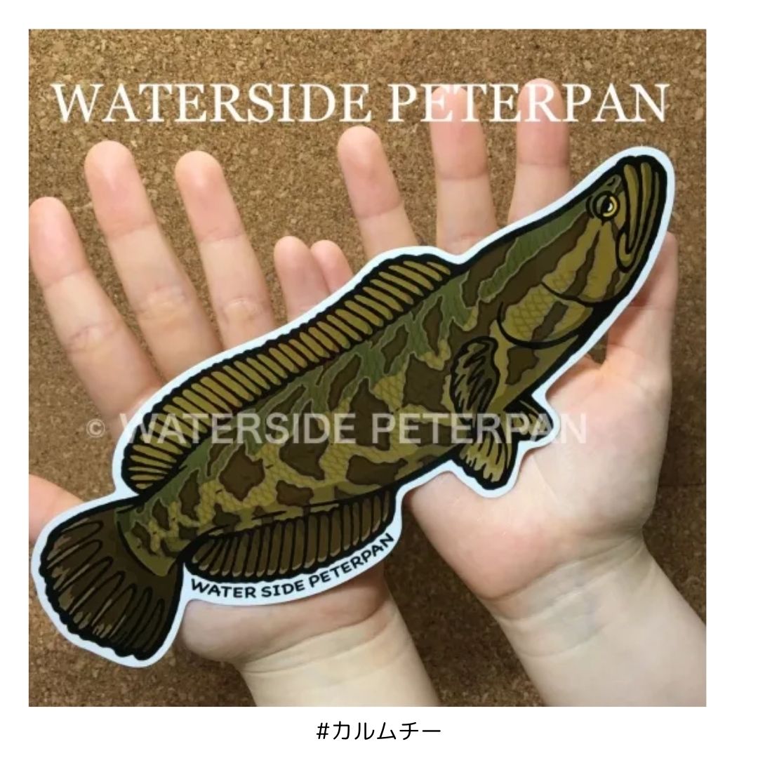 Bigお魚 ステッカー