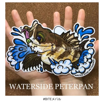 Bigお魚 ステッカー