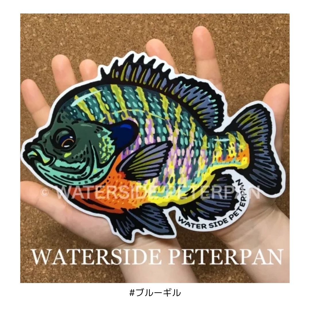Bigお魚 ステッカー