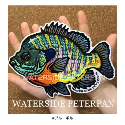 Bigお魚 ステッカー
