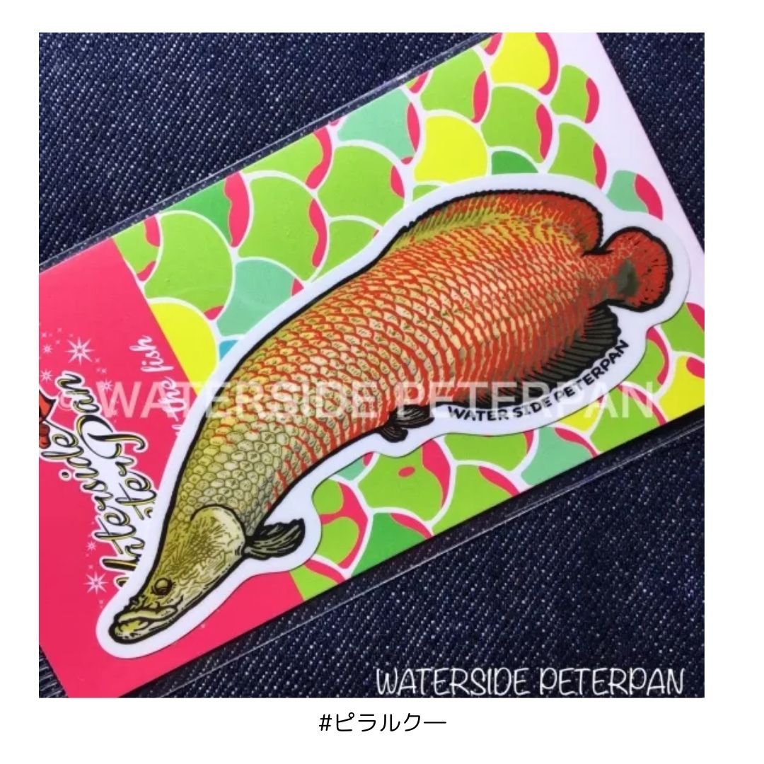 お魚ステッカー レギュラー