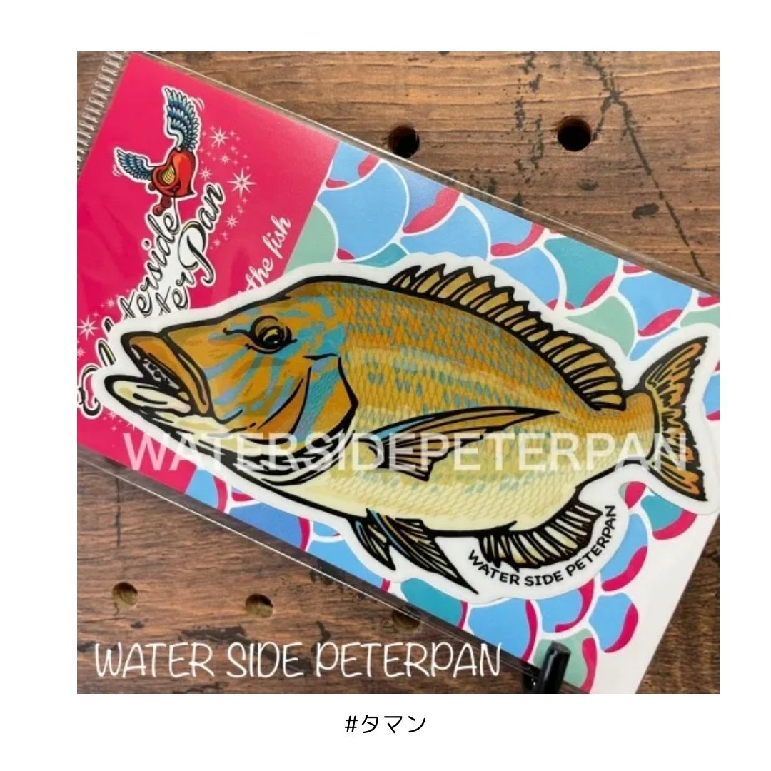 お魚ステッカー レギュラー