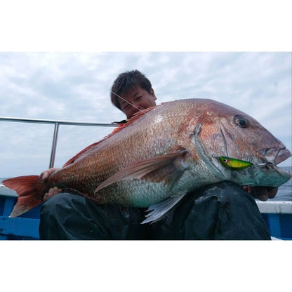 TGランマル　60g