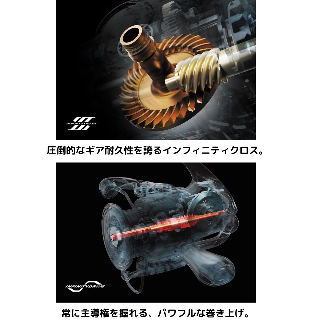 25 コンプレックス XR