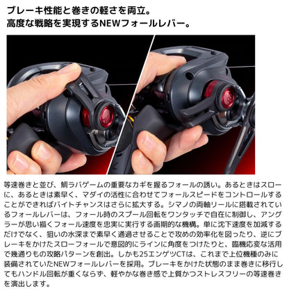 25 エンゲツCT　サマーセールWEB限定価格（151HG/151PG除く）