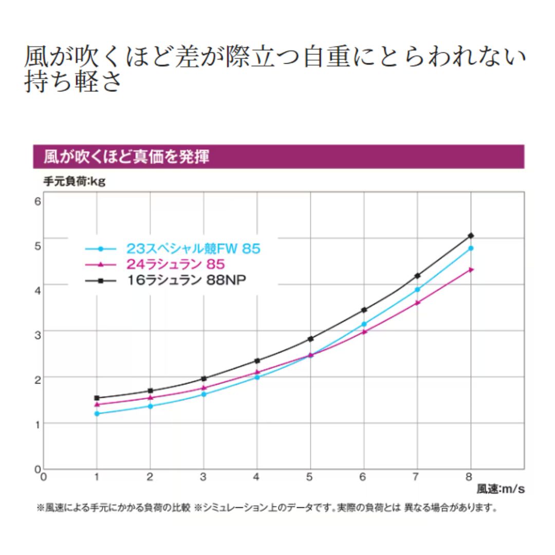 24 ラシュラン