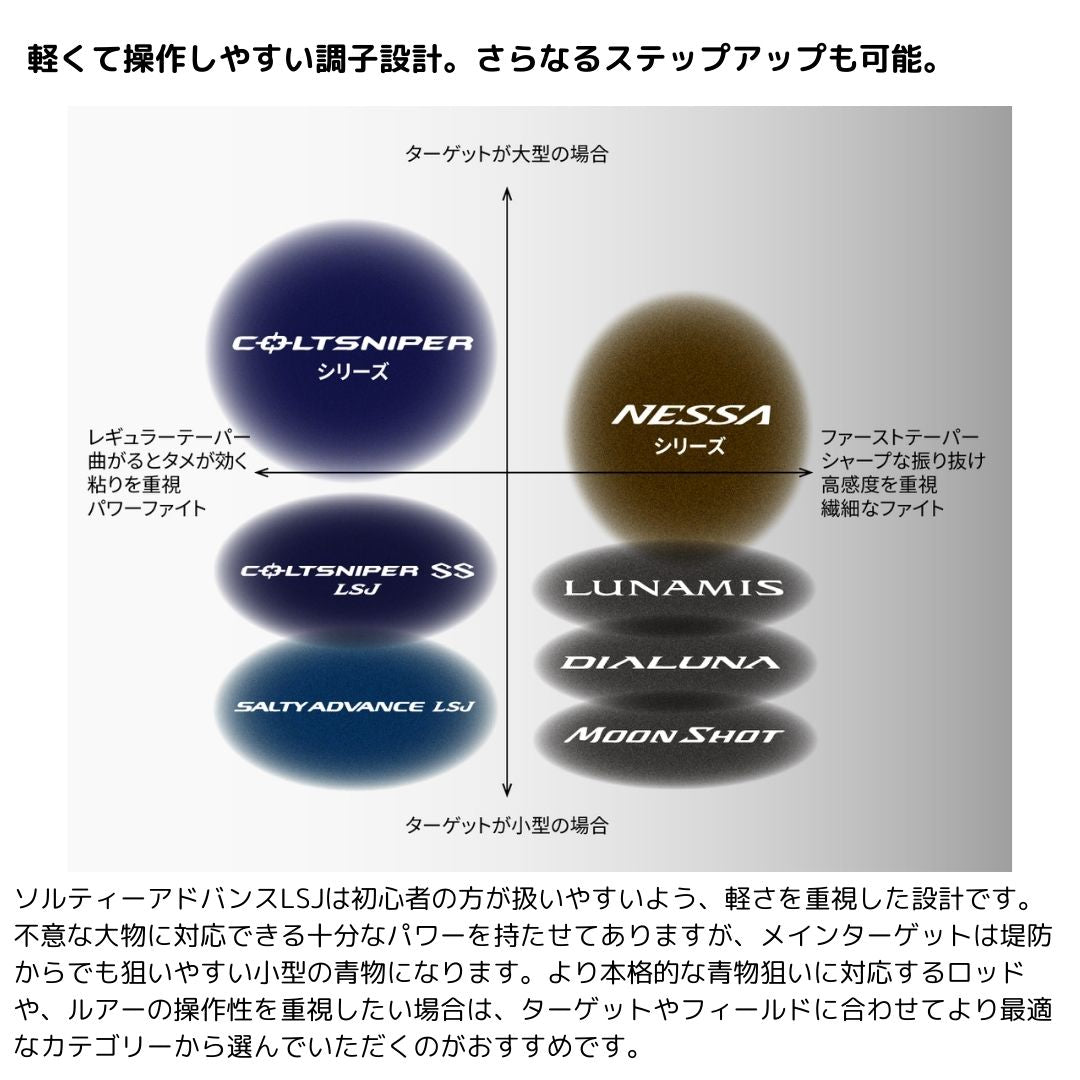 ソルティーアドバンス メタルスッテ