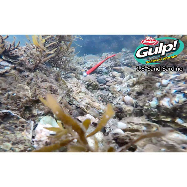 ガルプ！SWサンドサーディーン 1.8インチ