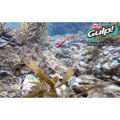 ガルプ！SWサンドサーディーン 1.8インチ