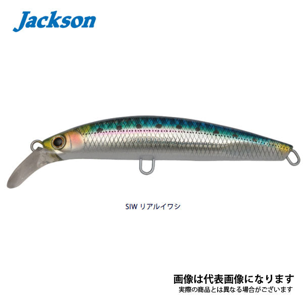 Amazon.co.jp: スピードピット(Speed Pit) TNK インナーバイザー