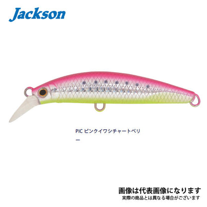 ピンテールEZ 20