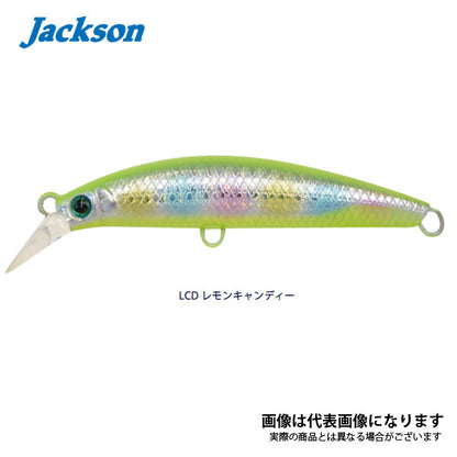 ピンテールEZ 20