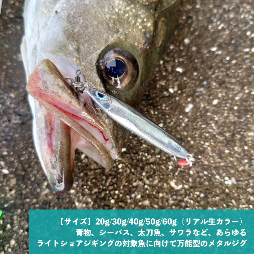 プレストII 【リアル生カラー】
