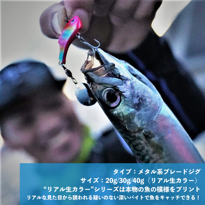 コザカナー【リアル生カラー】