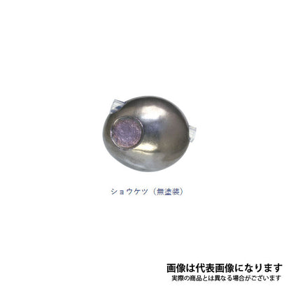 海神TGシャンクス 160g