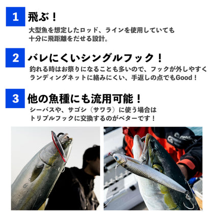 シラスパ 【リアル生カラー】 [釣りアシスタントシステム]　シラスパターン攻略