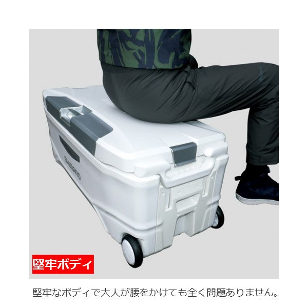 スペーザホエール ベイシス 650 ピュアホワイト   NS-365T