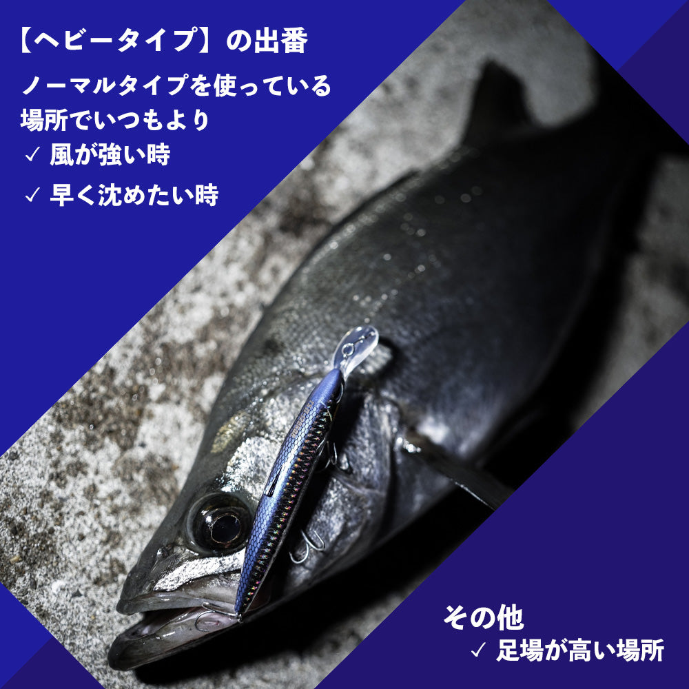 トゥルーサーディン2 HEAVY [釣りアシスタントシステム