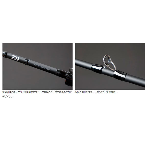 キャタリナ BJ エアポータブル（スーパーライトジギングモデル） 65LB-METAL ※数量限定特価（特価のため保証書無し）