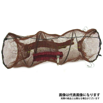 お魚パラダイス