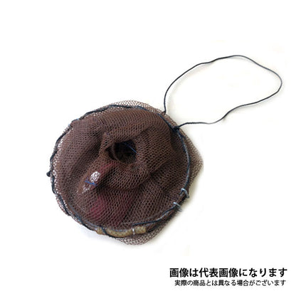 お魚パラダイス