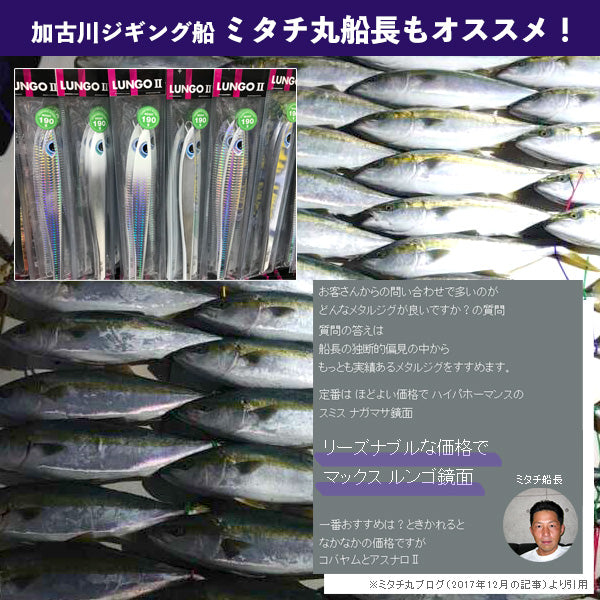 【2024NEWカラー追加】ルンゴII 220g