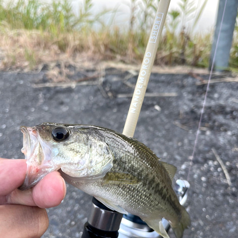 NANDEMO ROD ( ナンデモロッド ) SHORT S634L SAND パックロッド スピニング