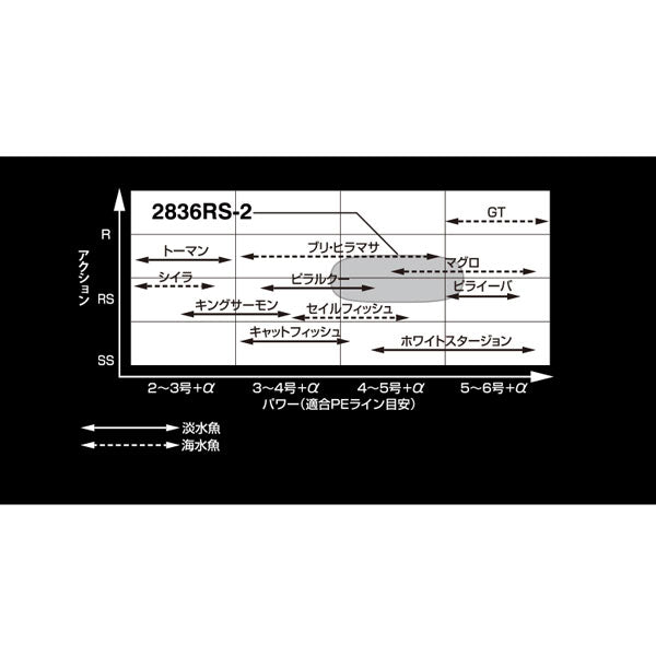 20 ワールドシャウラ BG 2836RS-2
