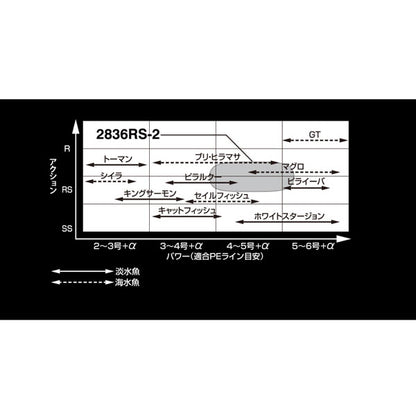 20 ワールドシャウラ BG 2836RS-2