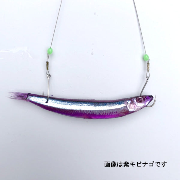 赤　キビナゴ　RED