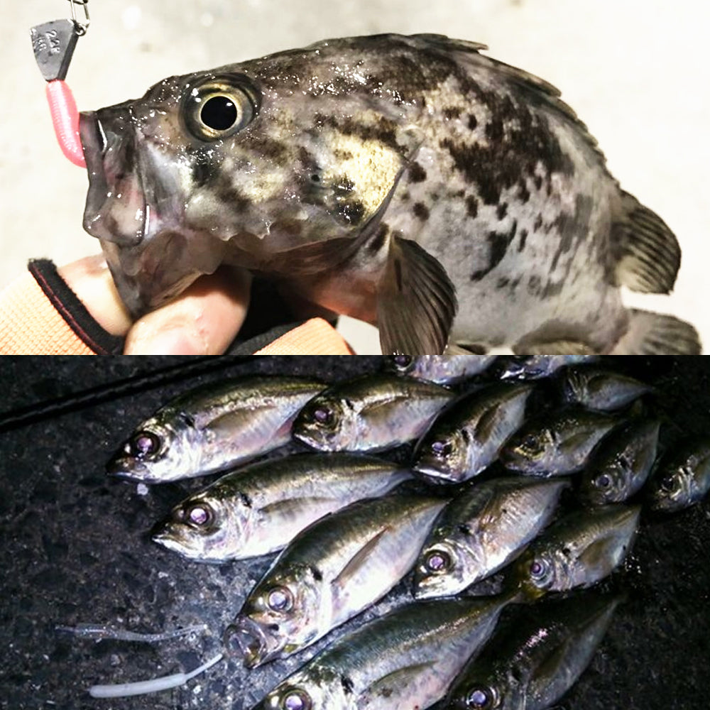 CLE009<br>PSYCO MEBAZUKI WORM<br> ｜釣具・海上レジャー用品の総合卸 株式会社浜田商会