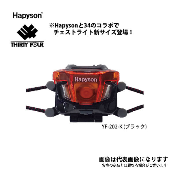 チェストライトミドル