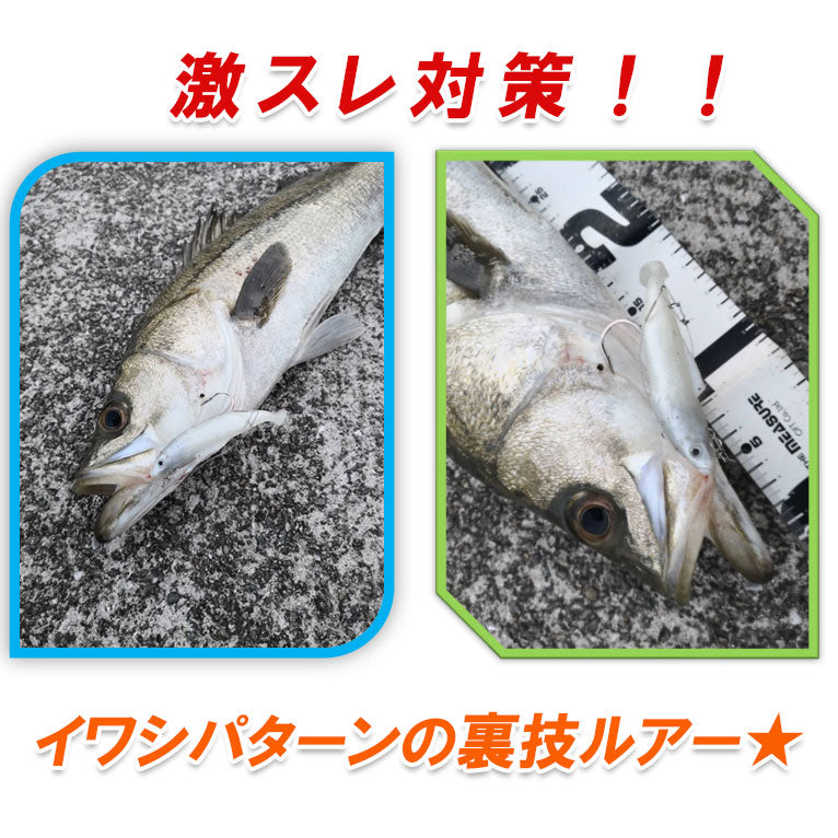 タチウオの晩ごはん