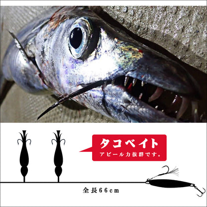 太刀魚 ショアジグサビキ